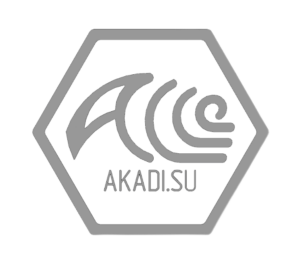 Логотип ООО "АКАДИ"
